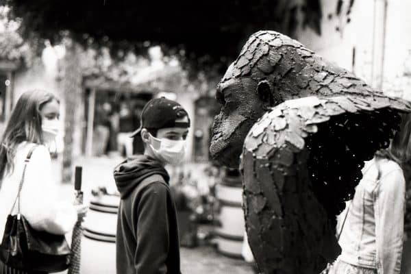 Photo12_12