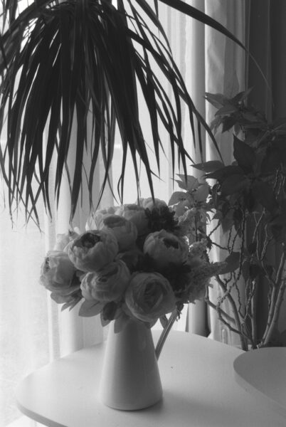 Pivoines-thumbnail-1