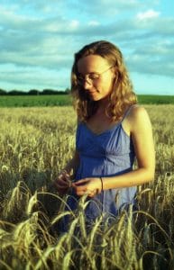 Tournesols et champs de blé